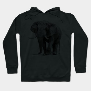 Big Tusker African Elephant on the Move Hoodie